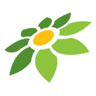DFAST MOD APK